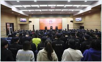 石家庄裕华爆料案件最新,真相渐明，疑云散去