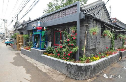 瑶新皮肤最新爆料2025图片,惊艳亮相，瑶仙子华丽蜕变