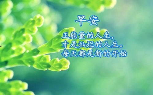 早安最新爆料,揭秘娱乐圈最新热点事件