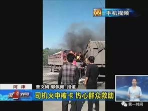 河津最新事件爆料,揭秘背后真相，引发社会关注