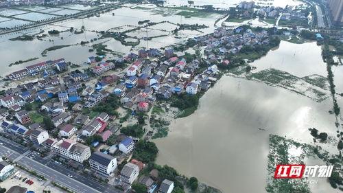 汨罗的最新爆料,揭秘背后惊人真相